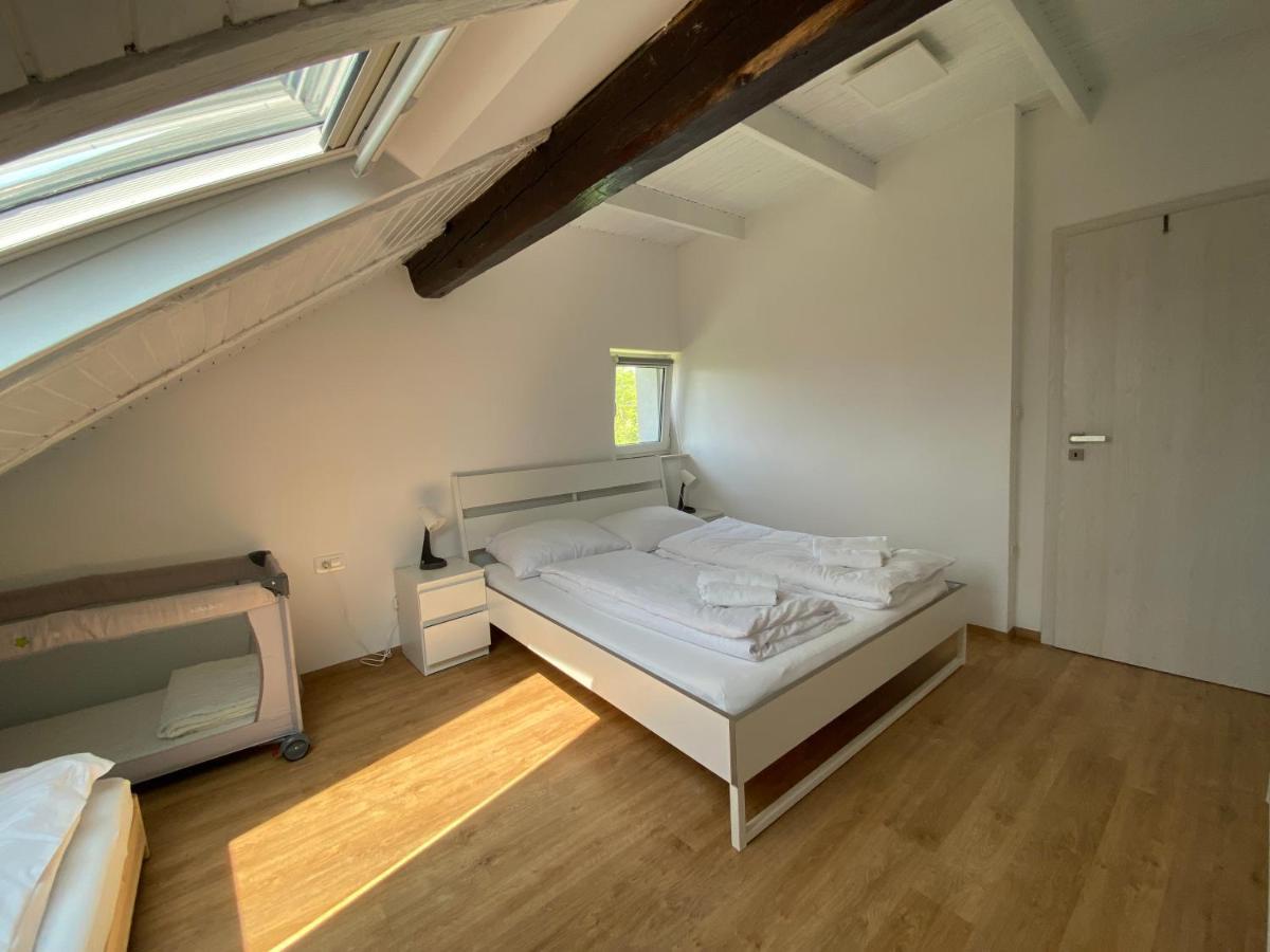 Vila Ada - 4 Cosy Apartments Ljubljana Dış mekan fotoğraf